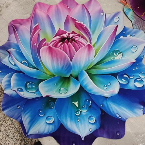 || 24 "|| নীল-গোলাপি পদ্ম